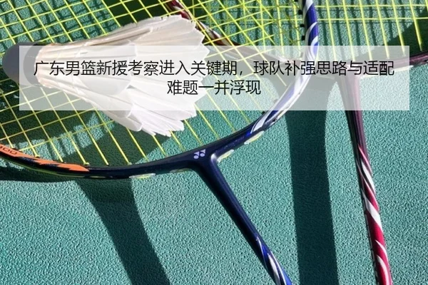 广东男篮新援考察进入关键期，球队补强思路与适配难题一并浮现（Sina Sports）