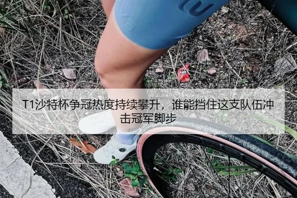 img_1783319306168_2_0_294.jpg | Sina Sports